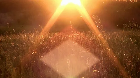 001 Rays a sun lighting on the field with a grass Stock Footage 25143106