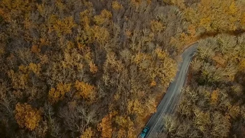 0010 스톡 동영상 99199494