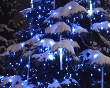 Christmas fur-tree