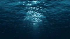 seamless looped underwater scene