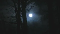 Moonrise in Forest