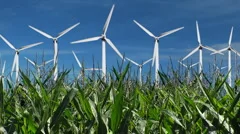 Windmill Turbines Create Green Energy Above Corn Fields