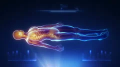 Human body medical scan projection