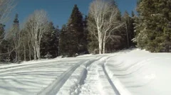 Snowmobile through mountain winter pine forest P HD 05