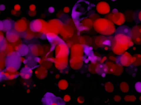 00109 VJ Loops  - LoopNeo 768 X 576 库存影片 10889109