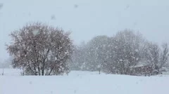 Snow blizzard farm HD