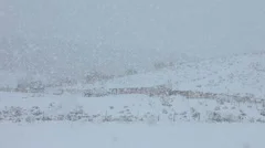 Snow blizzard on farm field hill HD