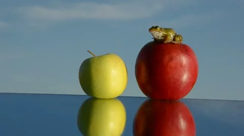 0011 Stock Footage 8845803