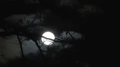 HD Full Moon Time Lapse with Tree 2