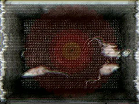 00119 VJ Loops  - LoopNeo 768 X 576 스톡 동영상 10889133