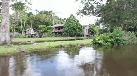 0012-Amazon-River-Ho#50B70C Stock Footage 22159576