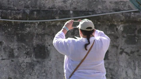 0012PO Video stock 73274540