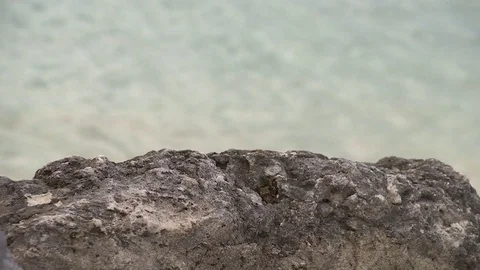 0015NN Video stock 73240146