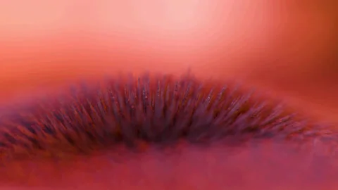 002 Deadly Impact Stock-Footage 199124801