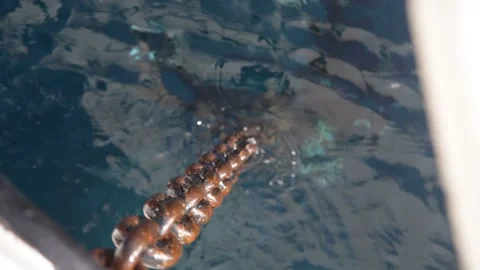 002. Elevación ancla Stock Footage 137223385