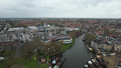 002 - Gouda - Croda Stock Footage 228687065