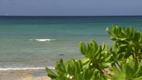 00201N Video stock 73240103