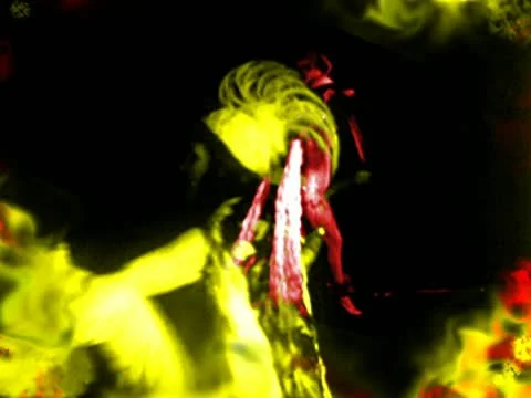 00208 VJ Loops  - LoopNeo 768 X 576 库存影片 11145510