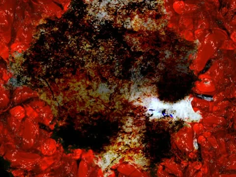 00213 VJ Loops  - LoopNeo 768 X 576 库存影片 11145693