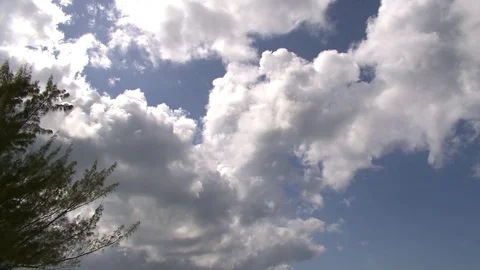 0023MF Video stock 73240136