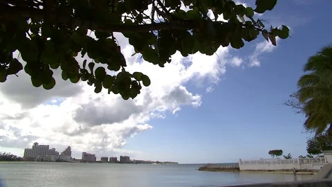 0026VO Video stock 73240298