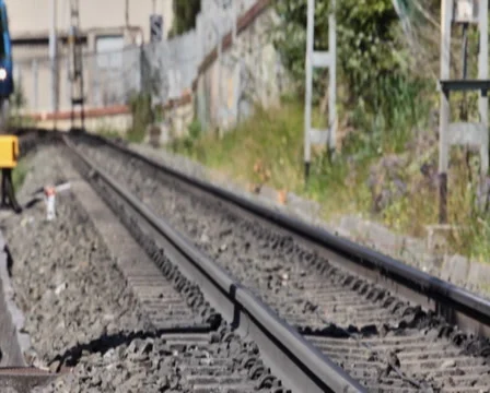 0028 Tren PAL Stock Footage 5059112