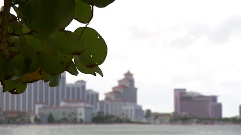 0028H9 Video stock 73240283