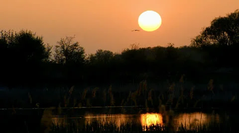 003 Sunset of a sun in the closing date of April 1 min Video stock 25144339