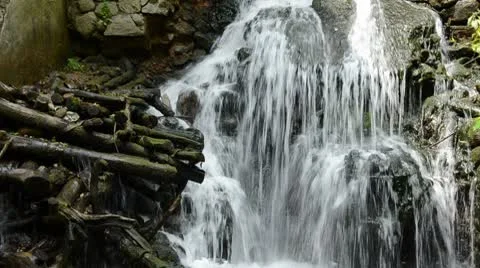 0031 Stock Footage 8845905