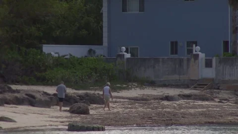 0035AB Video stock 73240273