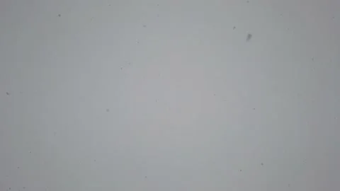 004 Falling snow from above Video stock 147351551