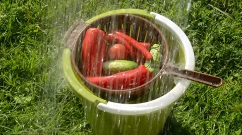 0040 Stock Footage 8847186