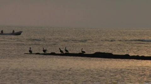 00400I Vidéo 706027