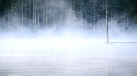 005 DSC5913 Stock Footage 22921542