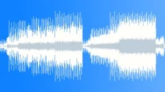 005 The nation of amorphous mystics Stock Music