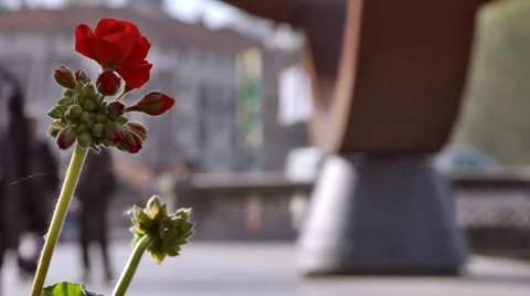 0051 Gente HD25 Stock Footage 5298323