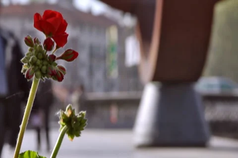 0051 Gente NTSC Stock Footage 5298380