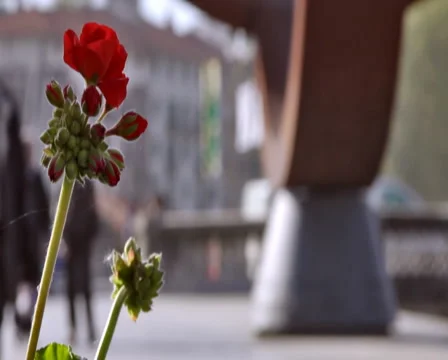 0051 Gente PAL Video stock 5298384