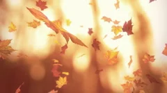 Falling autumn leaves - looped 3D animation