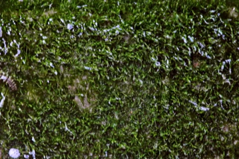 0053 Textura NTSC Vídeos de archivo 5299181