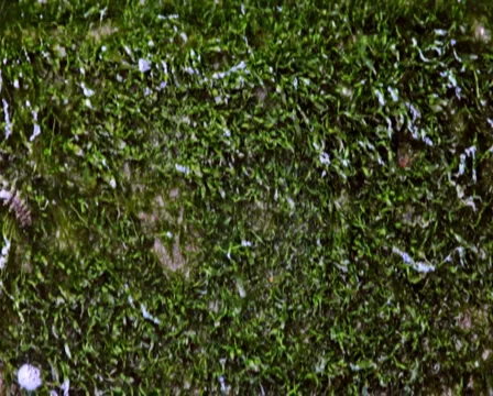 0053 Textura PAL Video stock 5299209