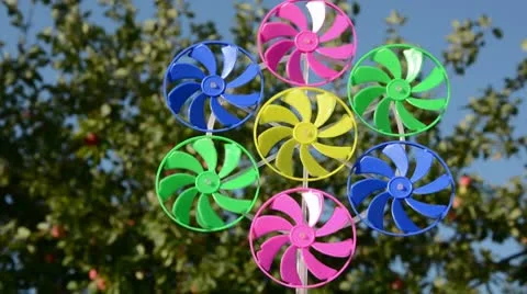 0054 Stock Footage 8847238