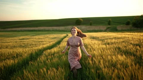 00543377 Stock Footage 233900477