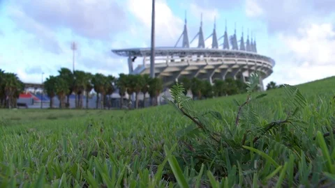 0056UM Video stock 73270472