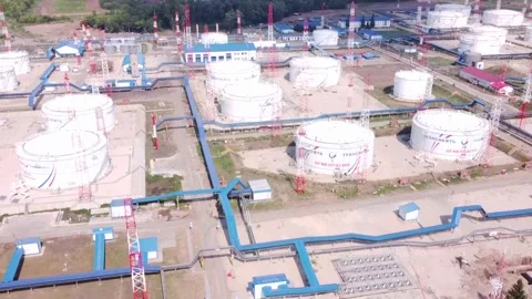 006 스톡 동영상 170823597