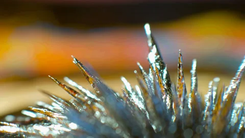 006 Liquid Caution 스톡 동영상 199125018