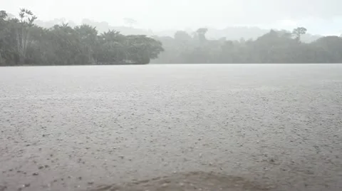 0062-Amazon-River-Ra#50B864 Stock Footage 22194040