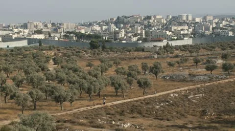 0063wall Stock Footage 20638239