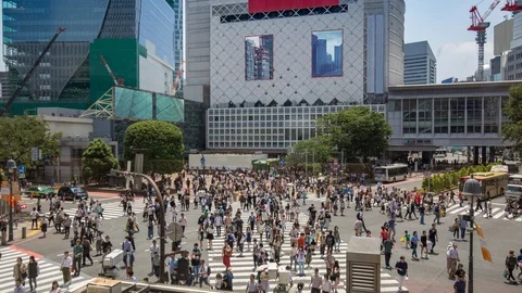 0065 shibuya Stock Footage 91484754