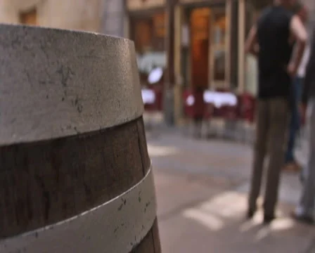 0067 Gente PAL Stock-Footage 5504728